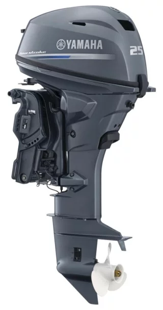 Yamaha F25