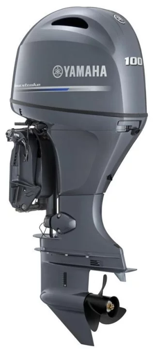 Yamaha F100LB